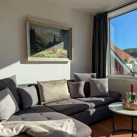 Fewocrew Am Schloss Mit Dachterrasse & Brockenblick Διαμέρισμα